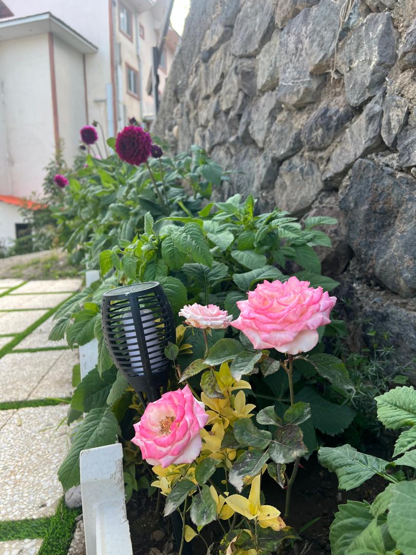 اقامتگاه بهار ۱