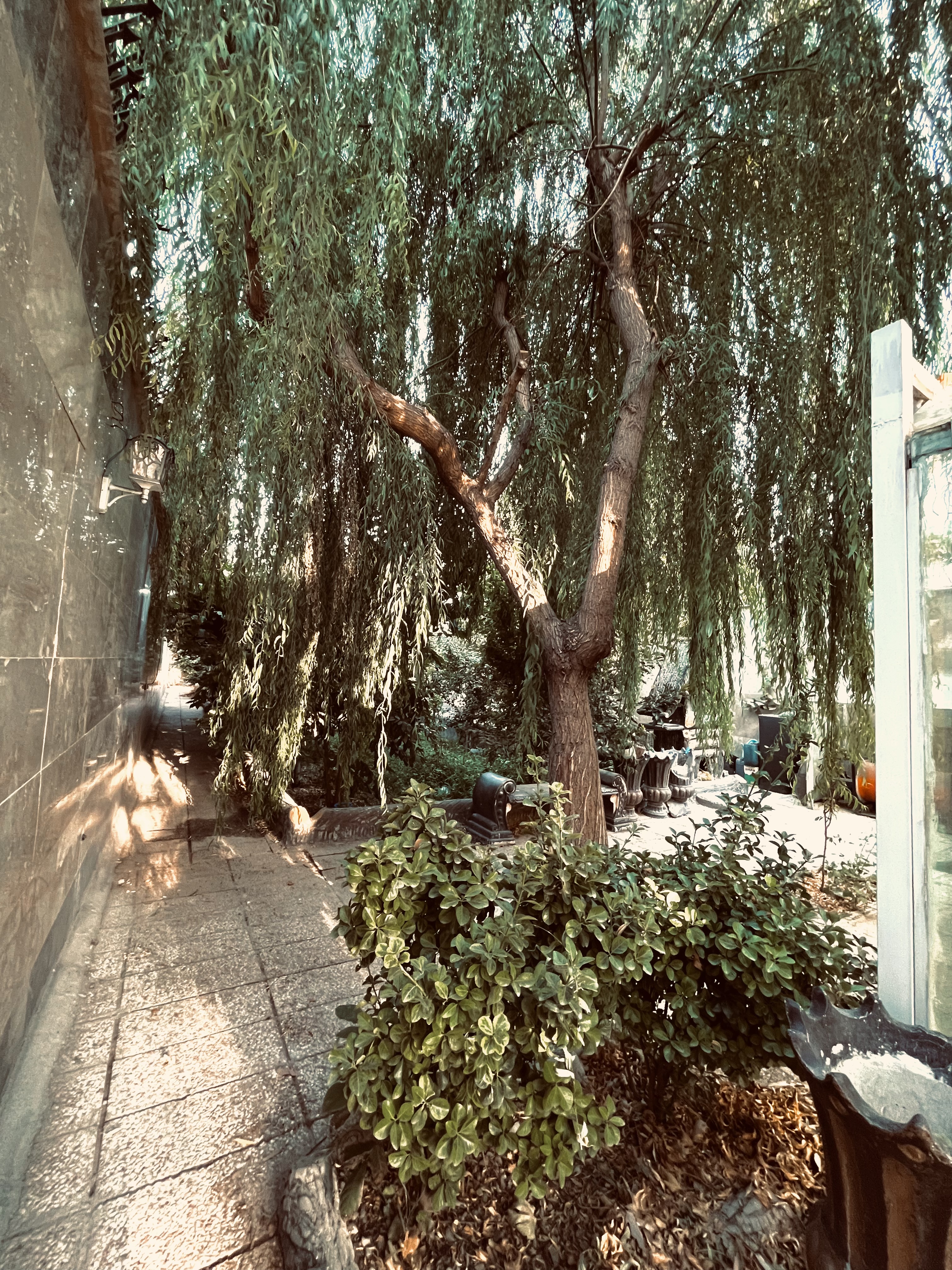 ویلای استخردار ارباب - ملارد